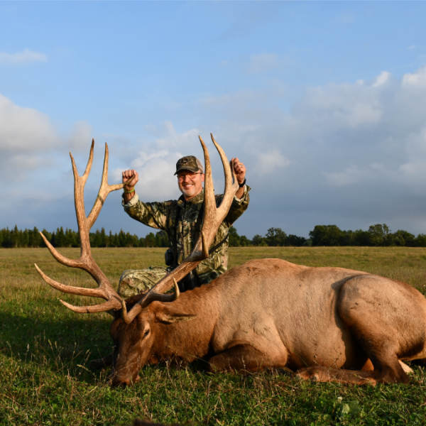 Elk Hunts